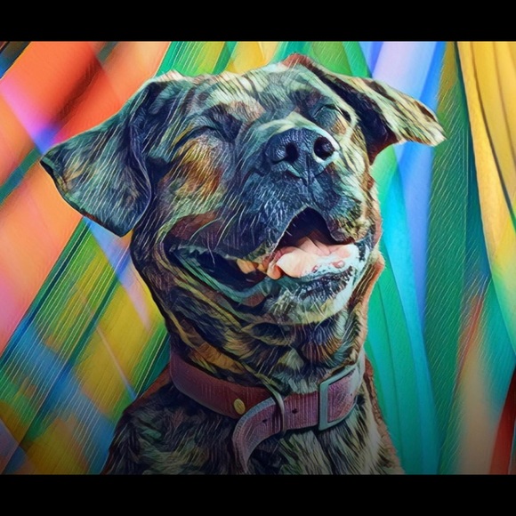 Meet your Posher, Femi - Picture 1 of 1